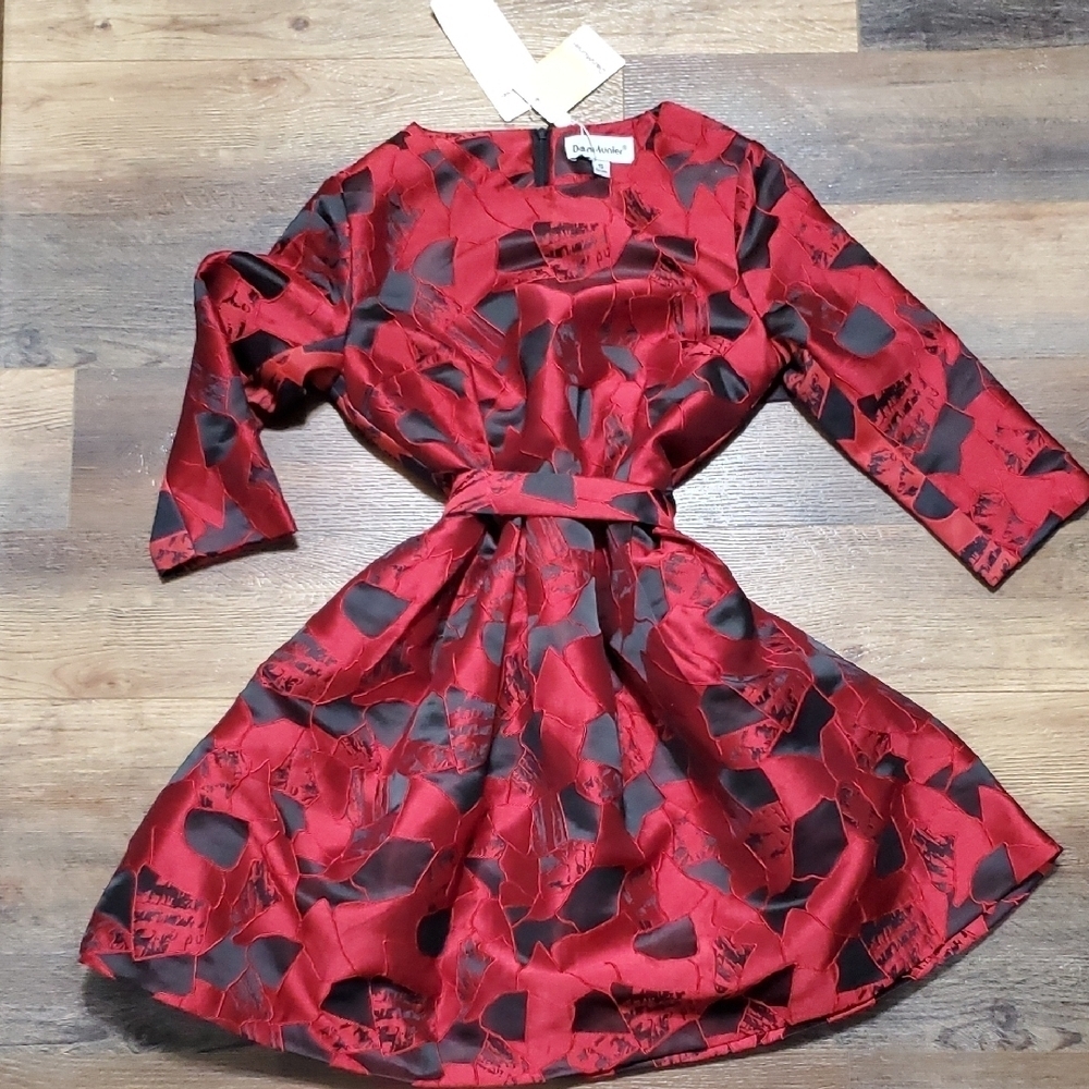Elegant Red and Black A-Line Dress with 3/4 Raglan Sleeves